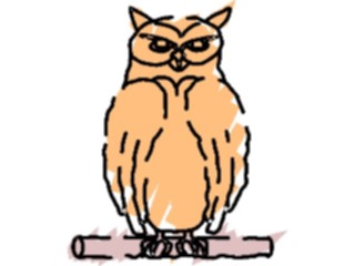 Sticker Custom Preview Image #017057 Animals Birds Owl44