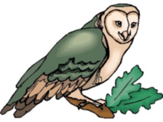 Sticker Custom Preview Image #017058 Animals Birds Owl Barn