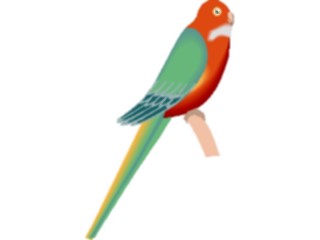 Sticker Custom Preview Image #017062 Animals Birds Parakeet1