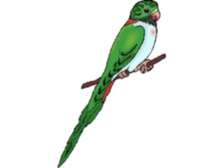 Sticker Custom Preview Image #017064 Animals Birds Parakeet3