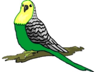 Sticker Custom Preview Image #017065 Animals Birds Parakeet4