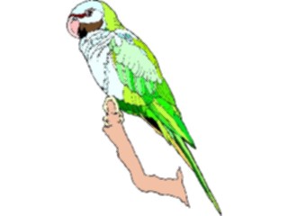 Sticker Custom Preview Image #017067 Animals Birds Parakeet Mustached