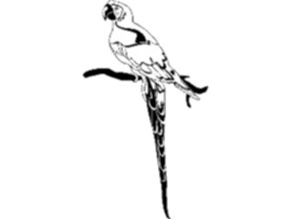 Sticker Custom Preview Image #017068 Animals Birds Parrot01