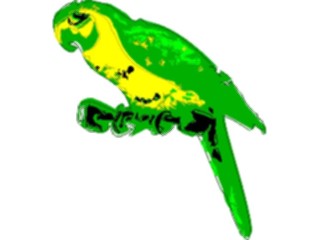 Sticker Custom Preview Image #017070 Animals Birds Parrot03