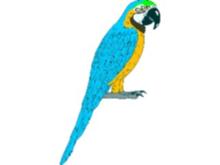 Sticker Custom Preview Image #017074 Animals Birds Parrot07