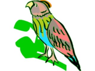 Sticker Custom Preview Image #017078 Animals Birds Parrot11