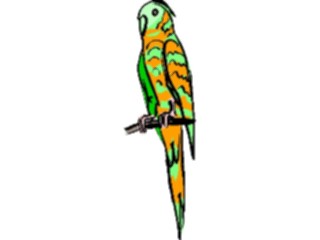Sticker Custom Preview Image #017079 Animals Birds Parrot12
