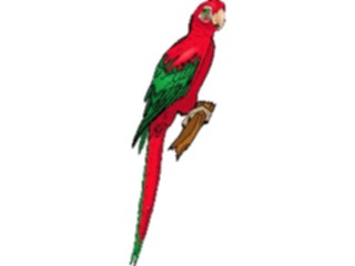 Sticker Custom Preview Image #017083 Animals Birds Parrot16