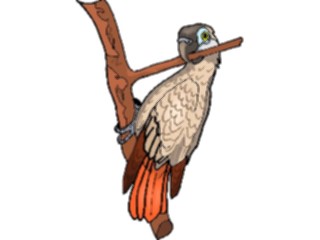 Sticker Custom Preview Image #017084 Animals Birds Parrot17