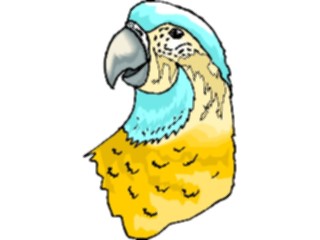 Sticker Custom Preview Image #017085 Animals Birds Parrot18