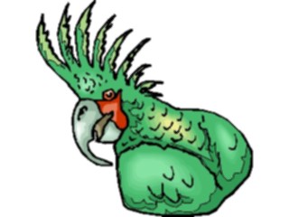 Sticker Custom Preview Image #017086 Animals Birds Parrot19