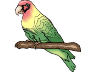 Sticker Custom Preview Image #017091 Animals Birds Peachfaced Lovebird