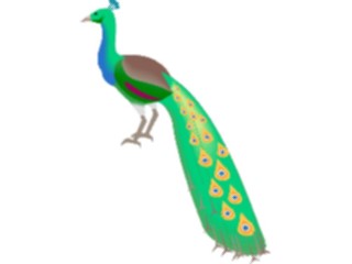 Sticker Custom Preview Image #017093 Animals Birds Peacock2