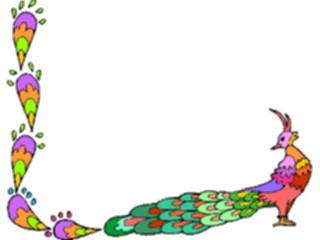 Sticker Custom Preview Image #017097 Animals Birds Peacock Corner
