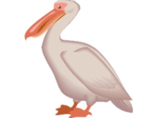 Sticker Custom Preview Image #017102 Animals Birds Pelican04