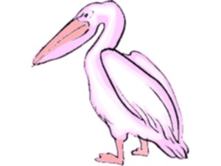 Sticker Custom Preview Image #017103 Animals Birds Pelican05