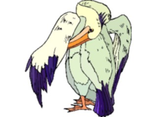 Sticker Custom Preview Image #017105 Animals Birds Pelican07