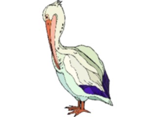 Sticker Custom Preview Image #017106 Animals Birds Pelican08