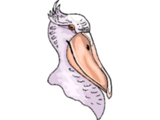 Sticker Custom Preview Image #017108 Animals Birds Pelican10