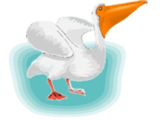 Sticker Custom Preview Image #017110 Animals Birds Pelican12