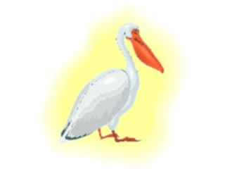 Sticker Custom Preview Image #017111 Animals Birds Pelican13