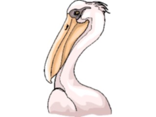 Sticker Custom Preview Image #017112 Animals Birds Pelican14