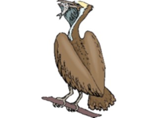 Sticker Custom Preview Image #017117 Animals Birds Pelican19