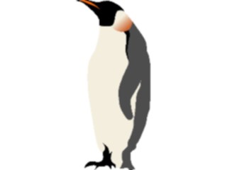 Sticker Custom Preview Image #017123 Animals Birds Penguin01