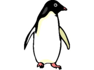Sticker Custom Preview Image #017127 Animals Birds Penguin05