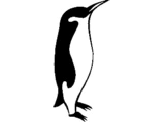 Sticker Custom Preview Image #017131 Animals Birds Penguin09