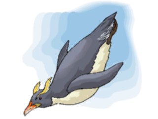 Sticker Custom Preview Image #017134 Animals Birds Penguin12
