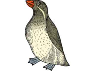 Sticker Custom Preview Image #017136 Animals Birds Penguin14
