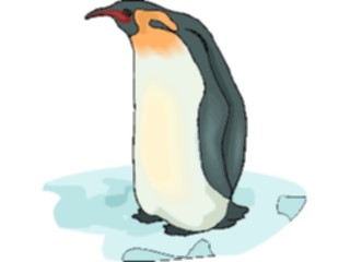 Sticker Custom Preview Image #017137 Animals Birds Penguin15