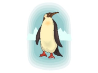Sticker Custom Preview Image #017138 Animals Birds Penguin16
