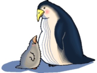 Sticker Custom Preview Image #017139 Animals Birds Penguin17