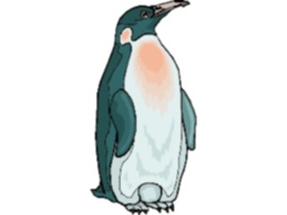 Sticker Custom Preview Image #017141 Animals Birds Penguin19