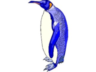 Sticker Custom Preview Image #017144 Animals Birds Penguin22