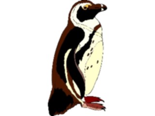 Sticker Custom Preview Image #017146 Animals Birds Penguin24
