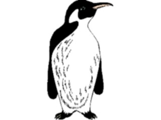 Sticker Custom Preview Image #017148 Animals Birds Penguin26