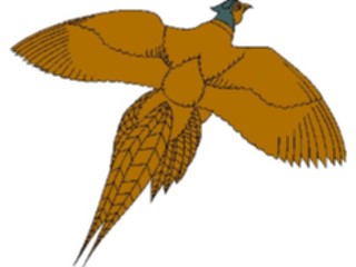 Sticker Custom Preview Image #017151 Animals Birds Pheasant1