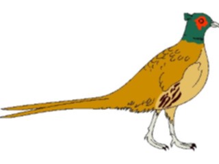Sticker Custom Preview Image #017152 Animals Birds Pheasant2