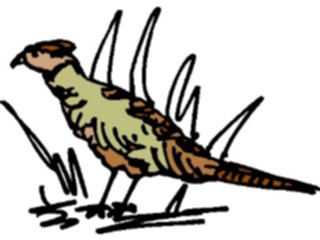 Sticker Custom Preview Image #017153 Animals Birds Pheasant3