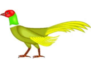 Sticker Custom Preview Image #017154 Animals Birds Pheasant4