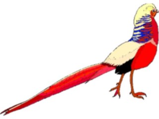 Sticker Custom Preview Image #017156 Animals Birds Pheasant Golden