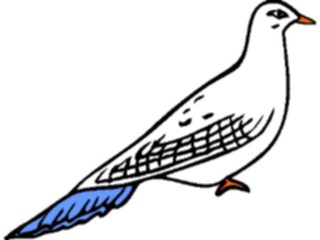 Sticker Custom Preview Image #017159 Animals Birds Pigeon03