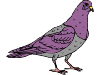 Sticker Custom Preview Image #017160 Animals Birds Pigeon04