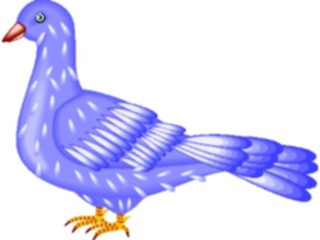 Sticker Custom Preview Image #017161 Animals Birds Pigeon05