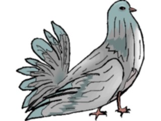 Sticker Custom Preview Image #017163 Animals Birds Pigeon07