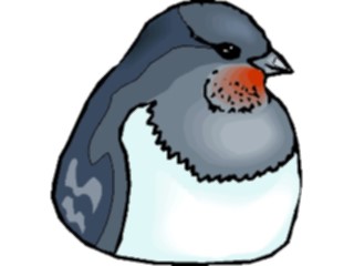 Sticker Custom Preview Image #017164 Animals Birds Pigeon08