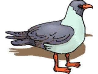 Sticker Custom Preview Image #017165 Animals Birds Pigeon09